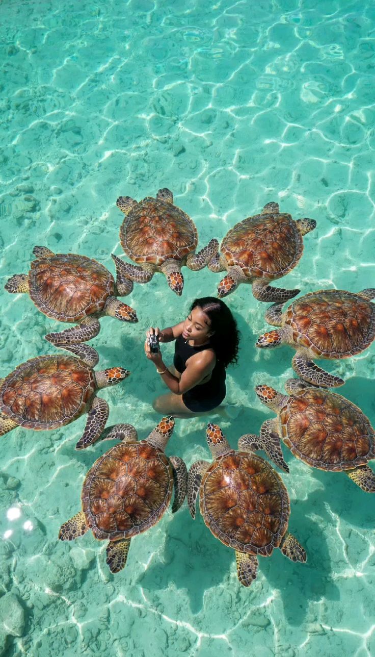 Snorkeling Zanzibar