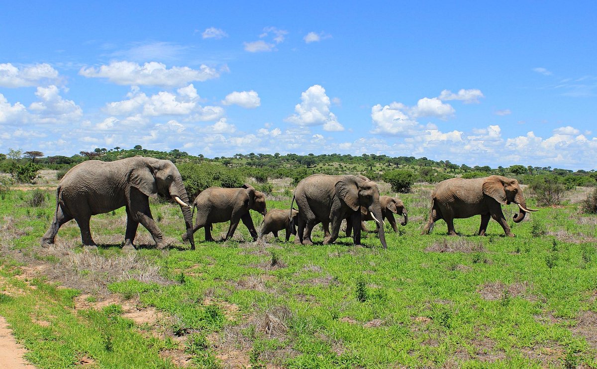 Ruaha